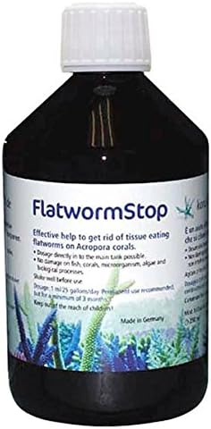 KZ Flatworm Stop 1000ml