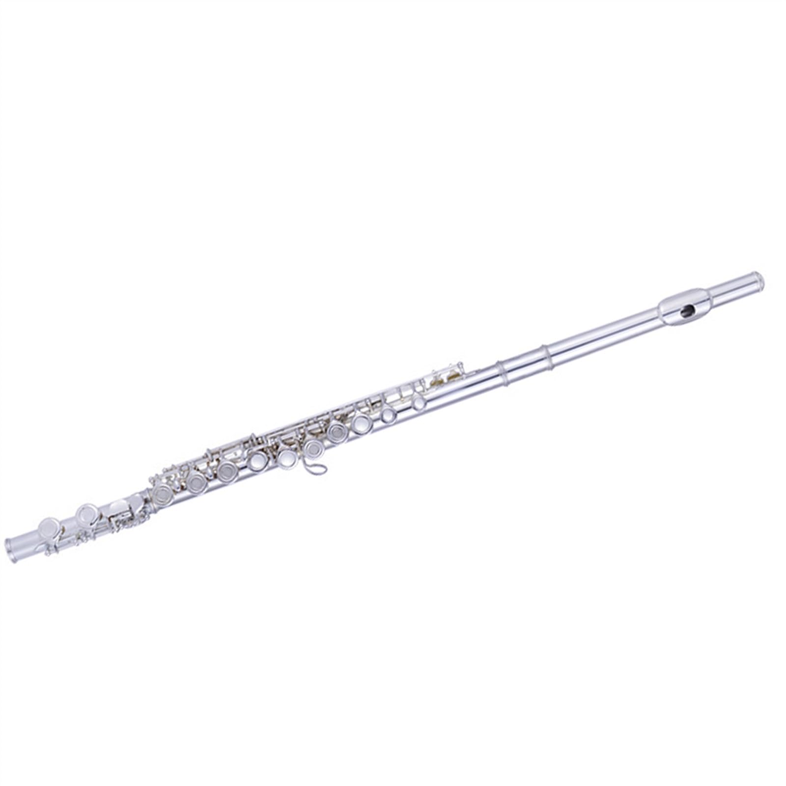 Set di flauti, Strumento a fiato in Do, Placcato Argento, 16 Fori con Chiave di Mi, Adatto ai Principianti.,