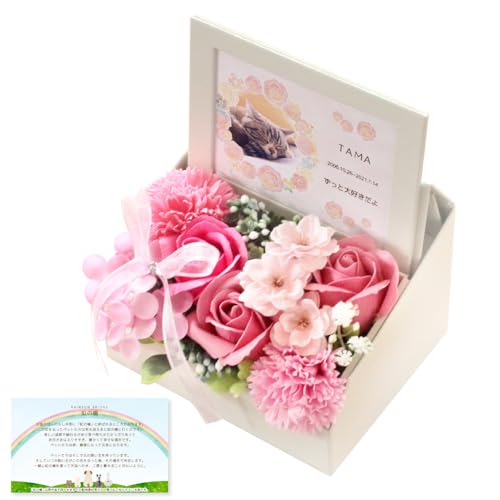 yʐ^zAtHgt[BOXw̋x\[vt[ V{ tOX {bNX ybg     ͂Ȃ vU[uh  ʐ^ ފ.{     @v d l\  ˂