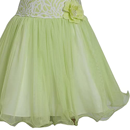 Bonnie Jean Girls Easter Jacquard Floral Princess Fit and Flare Party Dress 4-164