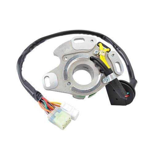 Bobina del estator RM250 compatible con modelos 1996-2000 ref 32101 5