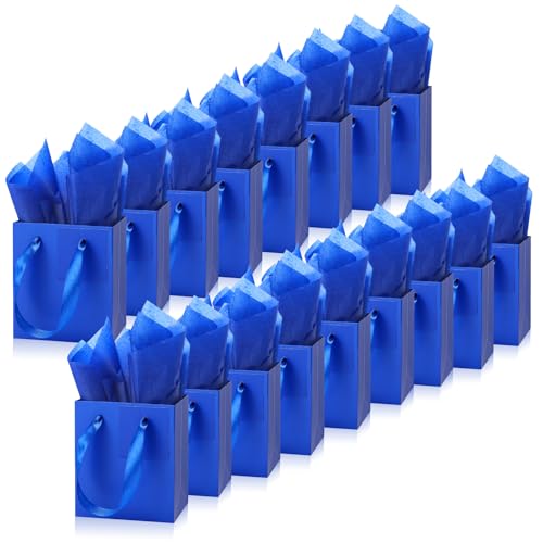 Tenare 12�� �X���[���M�t�g�o�b�O �~�j�y�[�p�[�o�b�O �o���N �����ȃe�B�b�V�� �W���G���[���b�v �n���E�B�� ���Ӎ� �N���X�}�X �a�����p�[�e�B�[ �i�i (4 x 2.8 x 4.5�C���`�A���C�����u���[)