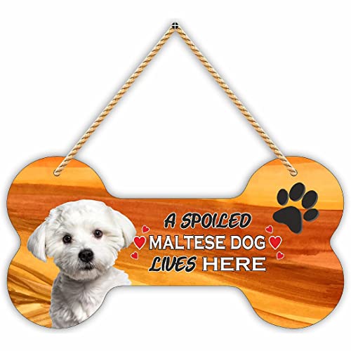 Image of CVANU Laser Cut MDF Wooden Cute Puppy Sign Plaque Bone Design A Spoiled WALTESE DAG Lives Here Animal Love Sign Board, Name Plate for Dog House White, Size(10x5) inch