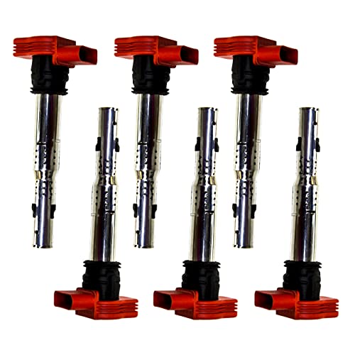PLDDE 6pcs Ignition Coils on Plug Pack Compatible With A4 A5 A6 A7 A8 Quattro Q5 SQ5 Q7 S4 S5 S6 S8 R8 Touareg Panamera Cayenne 3.0L 3.2L 4.2L 5.2L V6 V8 V10