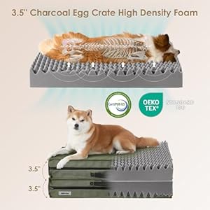EHEYCIGA Foldable Waterproof Dog Beds for Large Dogs - Outdoor Orthopedic Dog Bed with Washable Removable Cover, Pet Bed Mattress with Handle, Olive Green, 36 x 27 x 3.5 inches EHEYCIGA Foldable Waterproof Dog Beds for Large Dogs Outdoor Orthopedic Dog Bed with Washable Removable Cover Pet Bed Mattress with Handle Olive Green 36 x 27 x 35 inches