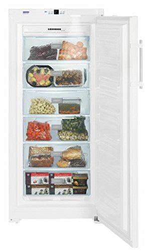 Preisvergleich Produktbild Liebherr GNP 3113 Gefriergerät / 253 liters