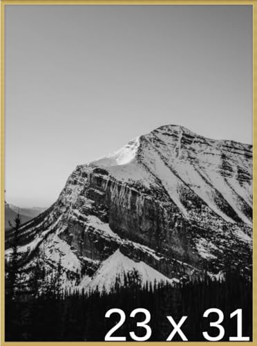 Frame It Easy 23 x 31 Gloss Gold Metal Frame (Ashford)