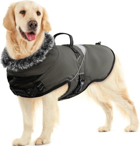 LIANZIMAU Cappotto impermeabile per cani con pettorina