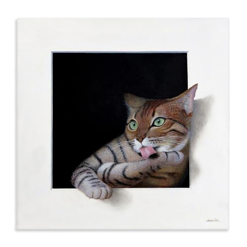 Stupell Industries Manx Cat Grooming Green Eyes Optical Illusion, Design by Alan Weston, 24 x 24, Gallery Wrapped Canvas