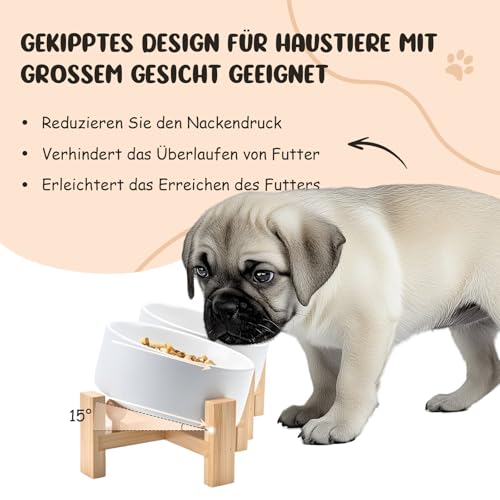 SPUNKYJUNKY 15° Kippbare Keramik Hundenapf mit Holzständer Futter und Wassernapf rutschfest für Hunde und Katzen mit Flachen Gesichtern Kleinen und Mittelgroßen Hunden (400ml × 2, Weiß)