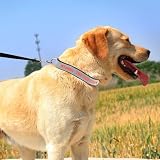 Reflektierendes personalisiertes Hundehalsband, individuell Besticktes ID-Halsband mit Kosename/Telefonnummer, verstellbares Hundehalsband mit Schnellverschluss, 3 Größen für Welpen und Hunde