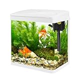 Small Glass Aquarium Tank 8L