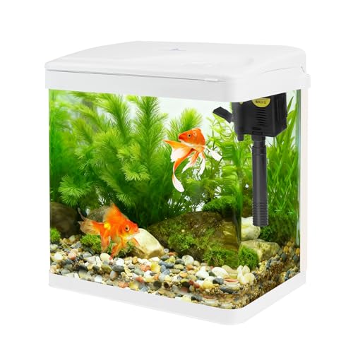 Petit aquarium en verre de 8 l avec filtre et lumière, kit tout-en-un avec pompe pour poissons...