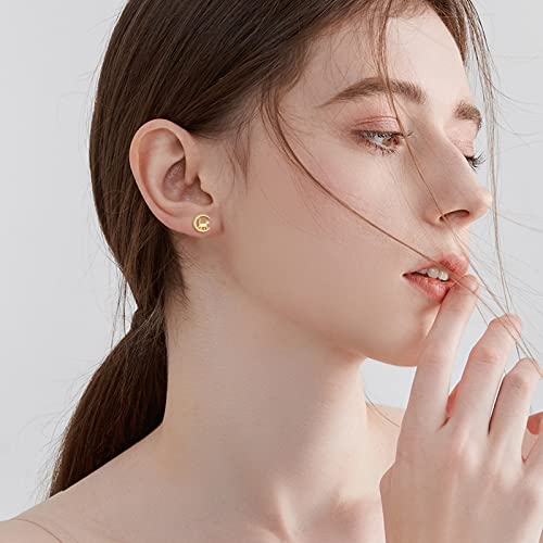 Kecho 14K Gold Cat Earrings Solid Gold Animal Moon Stud Earrings For Women Girls 14K Real Gold Cat Gifts For Cat Lover #TOP4