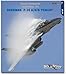 Uncovering the Grumman F-14 A/B/D Tomcat (No. 3b)