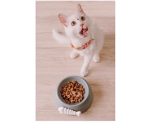 Comedouro Pote Ceramica Porcelana 200ml Gato Pet (Azul Turqueza)