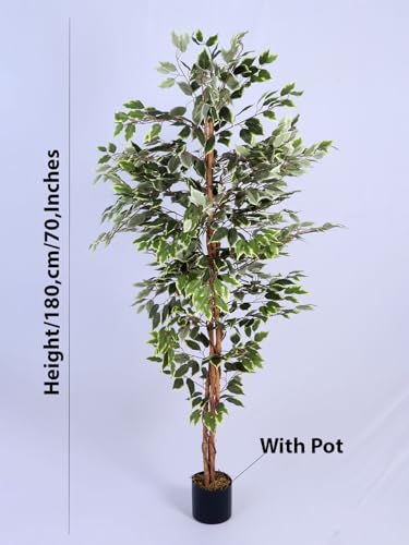 Image of ARICK DECOR 6Ft Artificial Variegated Ficus Tree in Pot, 6ft Realistic Faux White and Green Silk Leaf Plant, Peacock Shaped Large Floor Decor for Home, Office & Balcony