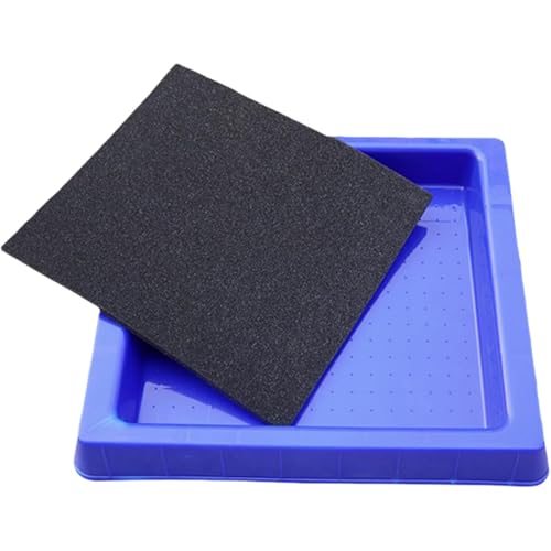 Holowa  X|WGgX \[Ŗ~n X|W C|  hA Cp Os ItBXɓKAZAwZAH₻̑̊όX|bg (A) [sAi]