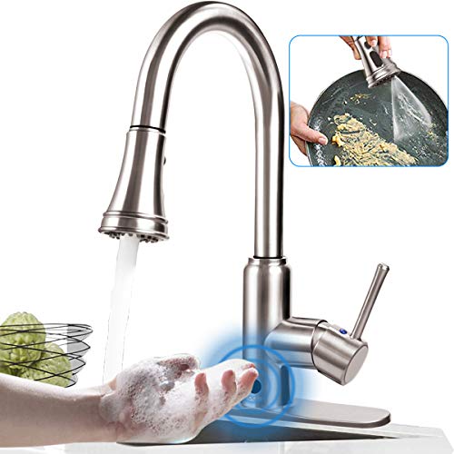 Amazon.ca Best Sellers The most popular items in Touchless Kitchen