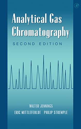 Analytical Gas Chromatography view 2