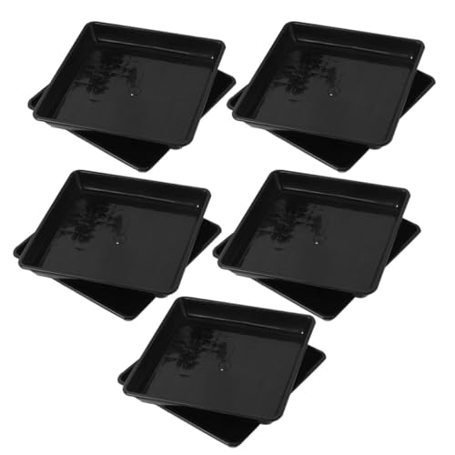 TIDTALEO 10 vX`bNA󂯎M ړIAhbvgC OΉ ~߂Ŕꐅ󂯂