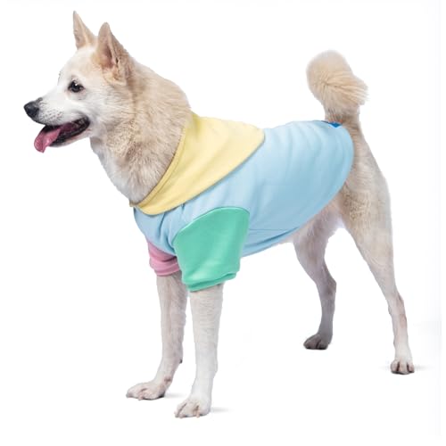 The Dodo Pastel Colorblock Hoodie for Dogs, Size Large; Everyday Apparel for Dogs, Cute Dog Sweatshirt, Cute Clothes for Dogs, The Dodo for Dogs Collection, FF27479-L