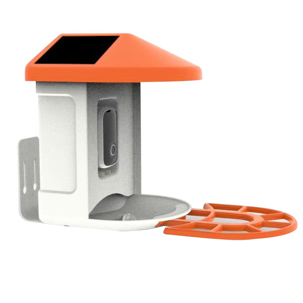 Mangeoire IA oiseaux jardin avec caméra de surveillance connectée