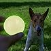 SKIPDAWG Neon Glow Ball, leuchtet im Dunklen, für Hunde, hochwertiger TPR-Kunststoff, mit Quietscher, sehr gut für Ballschleuder
