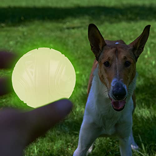SKIPDAWG Neon Glow Ball, leuchtet im Dunklen, für Hunde, hochwertiger TPR-Kunststoff, mit Quietscher, sehr gut für Ballschleuder