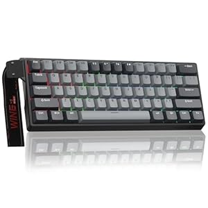 WIN60HE Pro Mechanische Gaming Tastatur mit Kabel,Hall Effect Magnetic Switches,Rapid Trigger,Einstellbare Betätigung,60% RGB Tastatur für PC/Mac (Grau)