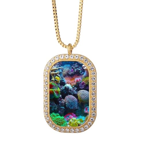 JtȎXC̉Ȋw͎R̎ʐ^ S[hlbNX_ChNX^y_g