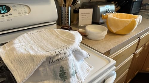 Generic 3 Pcs Medium Cheese Mold For Cheese Making 1/2 Qt thumb #4