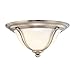 Hudson Valley Lighting Carrollton Ceiling Light