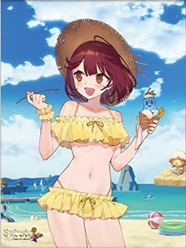 Amazon.co.jp: ソフィーのアトリエ B2タペストリー TGS2021 type 