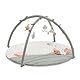 hauck Relax N Watch, Water Animals – Baby Spieldecke mit Spielbogen ab Geburt, Krabbeldecke mit Spieltieren, Spiegel, Rassel & Knister Spielzeug, Activity Decke für Babys zur Förderung der Sinne