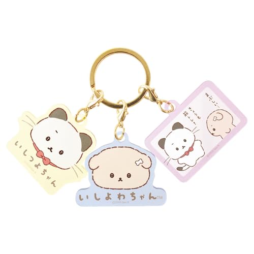 eB[Yt@Ng[ 킿R`[L[z_[  H42×W45×D3mmȓ IY-5546591DT