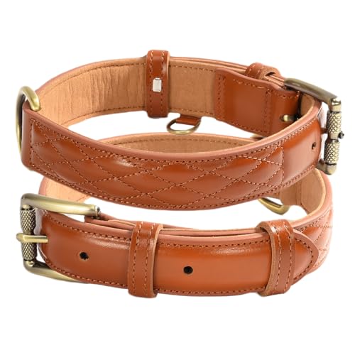 Beanspet p {v LeBOH ^ ^ ^Ή J[ vȃ_uXeb` XG[hn XS?XLTCYΉ U[J[ (LuE, M)