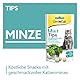 GimCat Mint Tips - Getreidefreier und vitaminreicher Katzensnack mit geschmackvoller Katzenminze - 8er Pack (8 x 40 g)