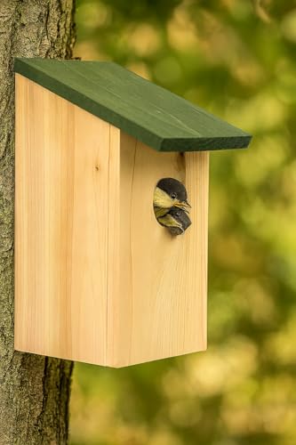 Mile Traditional Wooden Outdoor Bird House - Black Wooden Roof Garden Bird Box - Large Freestanding Hanging Wild Birds Nesting Box For Tree, Patio And Garden Decor