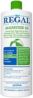 Regal Algaecide 60 for Swimming Pools & Spas