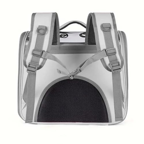 Mochila De Transporte Pet Passeio Viagem Cores Bolsa Visão Panorâmica Astronauta Cães Gatos (Cinza)