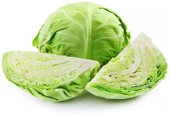 Willvine Round Shape Green Ball Style Cabbage-IACR-9Z-picture-24