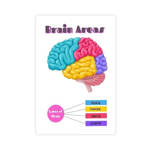 Poster DBT et lobe du cerveau : Comprendre le stress par l'art sur toile