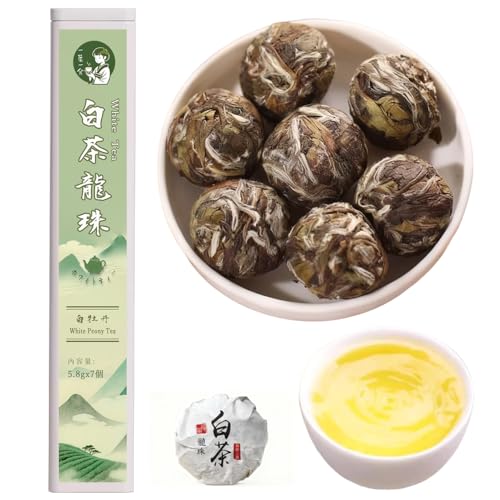 zCgeB[ijO  2025NtE O쒃_ Y ̔b͂ȍR_LxɊܗLb7i40gj