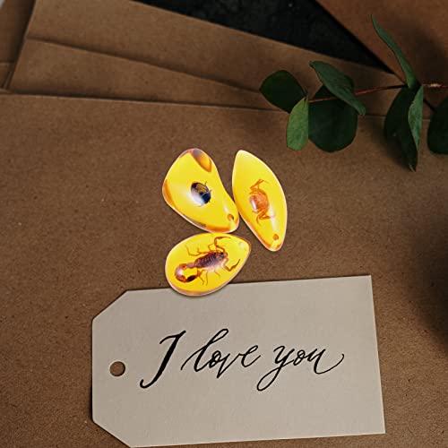 VICASKY 3 Pcs Âmbar Fóssil Com Inseto Jóias Encantos Bug No Ornamento de Desktop Âmbar Decoração de