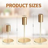 ACOMTUO B0FXRGYVWM lato 2