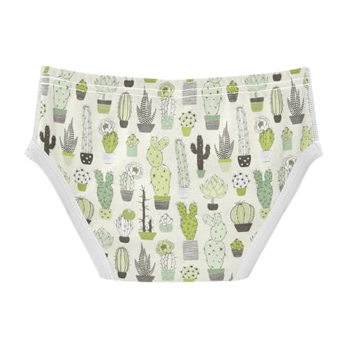 Boys' Exclusive Briefs Toddler Underwear 95% Combed Cotton Boxerbriefs 2T Cactus Pattern 402