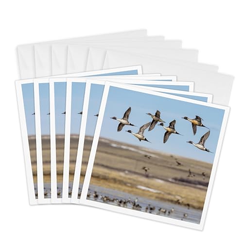 Cartes de vœux canards 3dRose pour correspondances et invitations nature