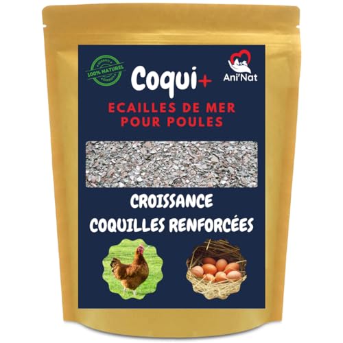 3,5 Kg Ecailles de mer pour Poules Pondeuses et Pigeons. + de variété de minéraux Que dans Les Coquilles d'Huitres. Minéraux et Calcium pour des coquilles Solides.