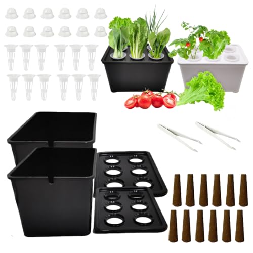 【自宅で簡単水耕栽培】水耕栽培キット 6穴 無土壌栽培ボックス 家庭菜園 室内/屋外兼用 栽培セット 初心者向け 野菜/果物/ハーブ/花 栄養豊富 新鮮収穫 簡単設置 耐久性素材